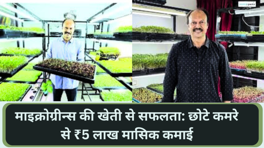 Success with microgreens farming: Earning ₹5 lakh per month from a small room